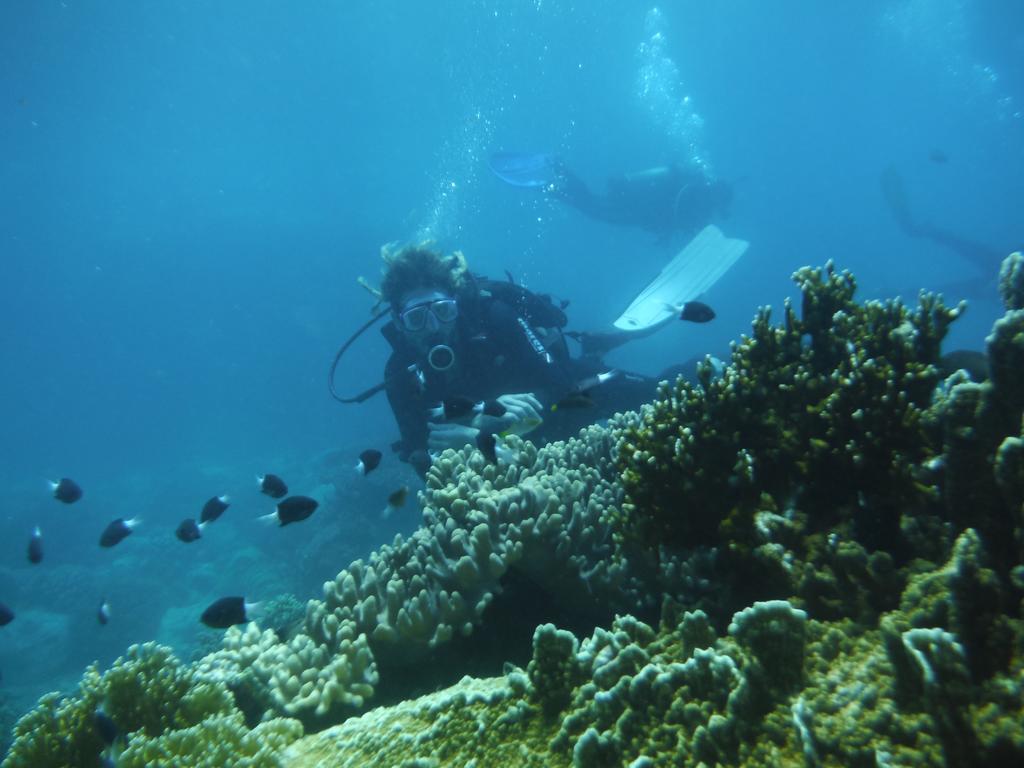 Hapier Villa Nha Trang Luaran gambar